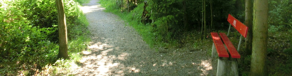 Ruhiger Waldweg mit roter Parkbank – einladend zum Verweilen
